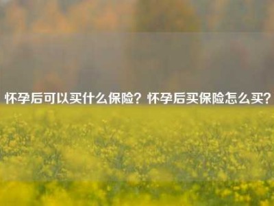 怀孕后可以买什么保险？怀孕后买保险怎么买？