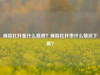 保险杠杆是什么意思？保险杠杆率什么情况下高？