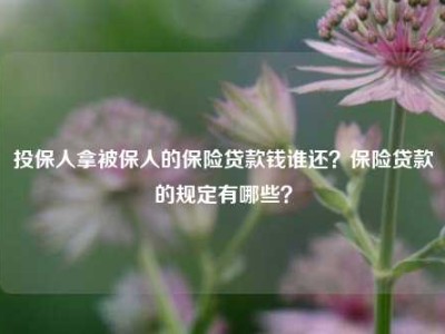 投保人拿被保人的保险贷款钱谁还？保险贷款的规定有哪些？