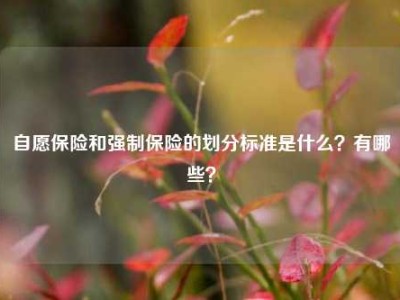 自愿保险和强制保险的划分标准是什么？有哪些？