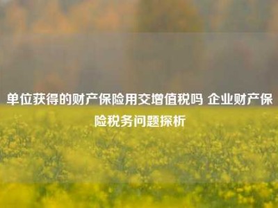 单位获得的财产保险用交增值税吗 企业财产保险税务问题探析