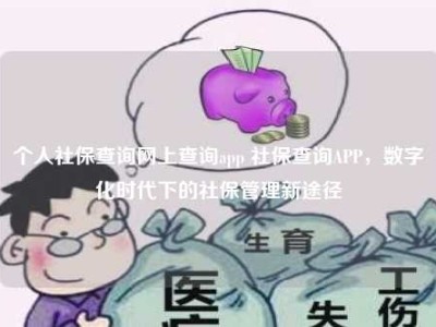 个人社保查询网上查询app 社保查询APP，数字化时代下的社保管理新途径