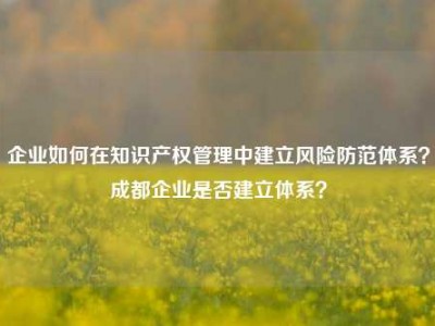 企业如何在知识产权管理中建立风险防范体系？成都企业是否建立体系？