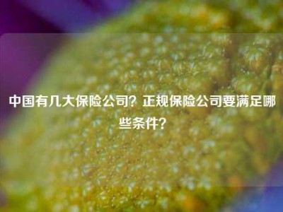 中国有几大保险公司？正规保险公司要满足哪些条件？