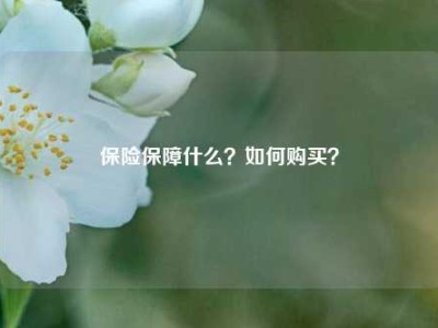 保险保障什么？如何购买？