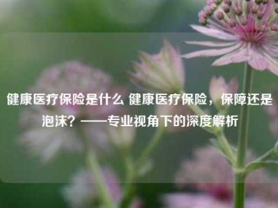 健康医疗保险是什么 健康医疗保险，保障还是泡沫？——专业视角下的深度解析