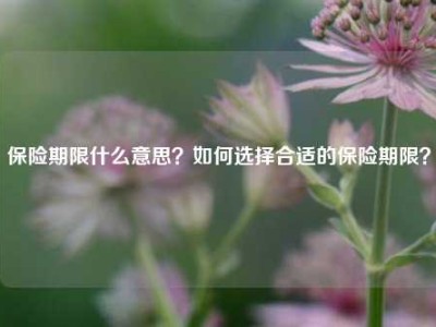 保险期限什么意思？如何选择合适的保险期限？