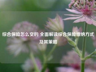 综合保险怎么交的 全面解读综合保险缴纳方式及其策略