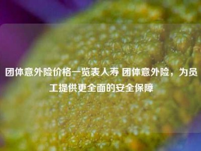 团体意外险价格一览表人寿 团体意外险，为员工提供更全面的安全保障