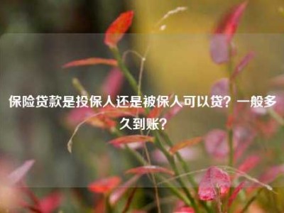 保险贷款是投保人还是被保人可以贷？一般多久到账？