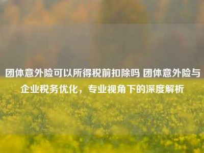 团体意外险可以所得税前扣除吗 团体意外险与企业税务优化，专业视角下的深度解析