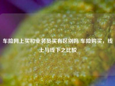 车险网上买和业务员买有区别吗 车险购买，线上与线下之比较