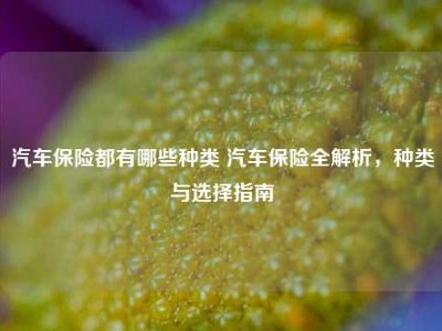 汽车保险都有哪些种类 汽车保险全解析，种类与选择指南