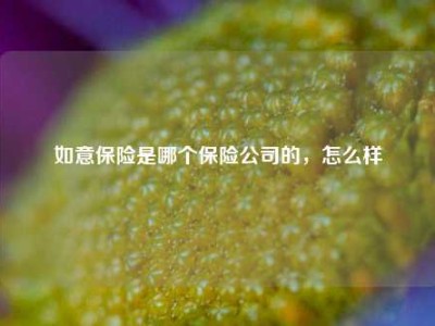 如意保险是哪个保险公司的，怎么样