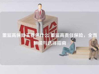 董监高保险主要保什么 董监高责任保险，全面解读与选择指南