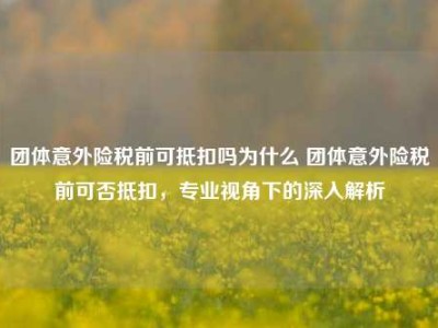 团体意外险税前可抵扣吗为什么 团体意外险税前可否抵扣，专业视角下的深入解析