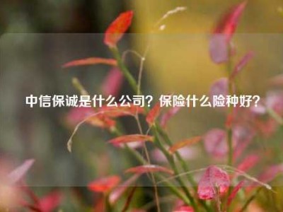 中信保诚是什么公司？保险什么险种好？