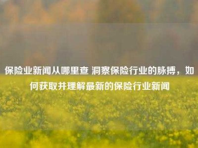 保险业新闻从哪里查 洞察保险行业的脉搏，如何获取并理解最新的保险行业新闻