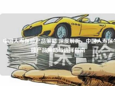 中国人寿保险产品策略 深度解析，中国人寿保险产品策略与选择指南