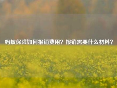 蚂蚁保险如何报销费用？报销需要什么材料？