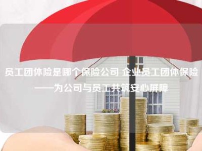 员工团体险是哪个保险公司 企业员工团体保险——为公司与员工共筑安心屏障