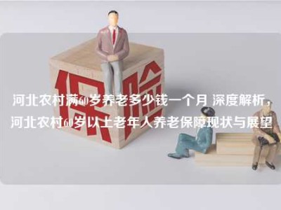 河北农村满60岁养老多少钱一个月 深度解析，河北农村60岁以上老年人养老保障现状与展望