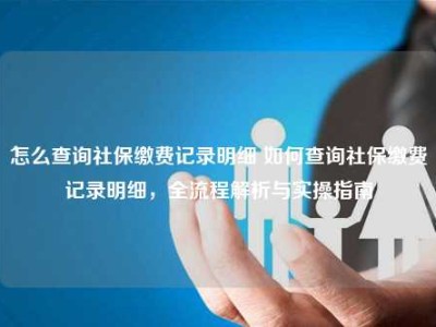 怎么查询社保缴费记录明细 如何查询社保缴费记录明细，全流程解析与实操指南