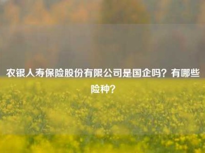 农银人寿保险股份有限公司是国企吗？有哪些险种？