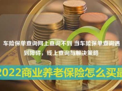 车险保单查询网上查询不到 当车险保单查询遇到障碍，线上查询与解决策略