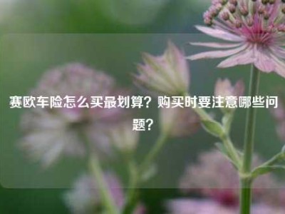 赛欧车险怎么买最划算？购买时要注意哪些问题？