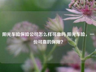 阳光车险保险公司怎么样可靠吗 阳光车险，一份可靠的保障？