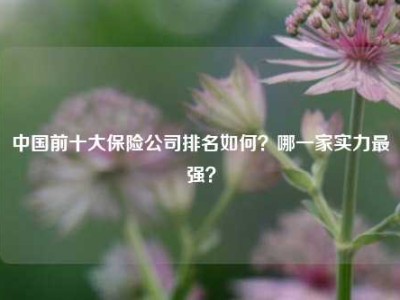 中国前十大保险公司排名如何？哪一家实力最强？