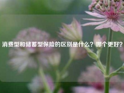 消费型和储蓄型保险的区别是什么？哪个更好？