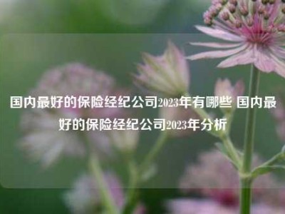 国内最好的保险经纪公司2023年有哪些 国内最好的保险经纪公司2023年分析