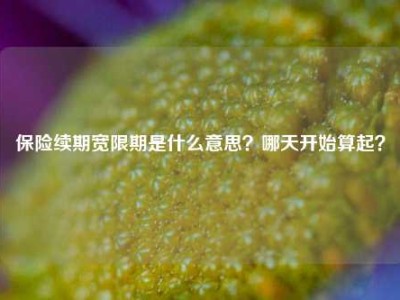 保险续期宽限期是什么意思？哪天开始算起？