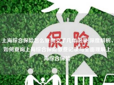 上海综合保险怎么查询交了几年记录 深度解析，如何查询上海综合保险缴费记录与全面理解上海综合保险