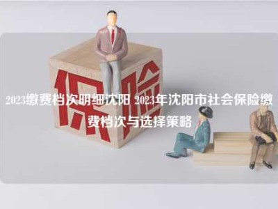 2023缴费档次明细沈阳 2023年沈阳市社会保险缴费档次与选择策略