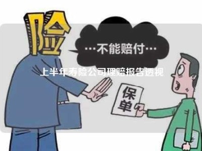 上半年寿险公司理赔报告透视