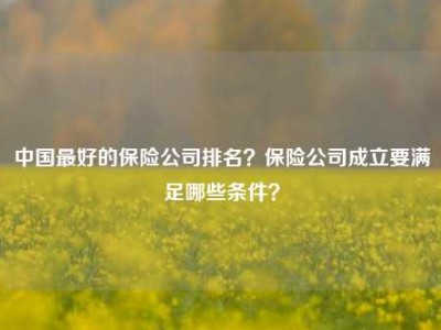 中国最好的保险公司排名？保险公司成立要满足哪些条件？