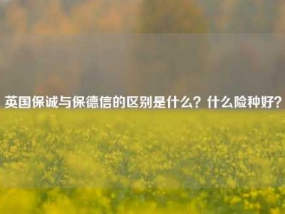 英国保诚与保德信的区别是什么？什么险种好？