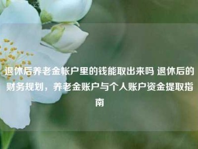 退休后养老金帐户里的钱能取出来吗 退休后的财务规划，养老金账户与个人账户资金提取指南