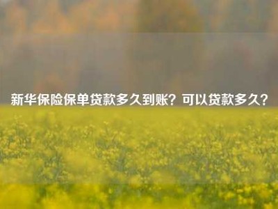 新华保险保单贷款多久到账？可以贷款多久？