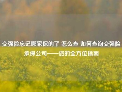 交强险忘记哪家保的了 怎么查 如何查询交强险承保公司——您的全方位指南