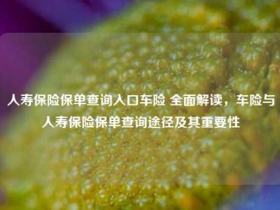 人寿保险保单查询入口车险 全面解读，车险与人寿保险保单查询途径及其重要性