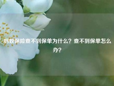 蚂蚁保险查不到保单为什么？查不到保单怎么办？