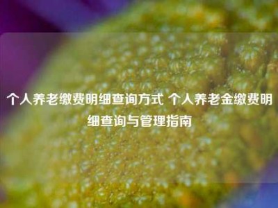 个人养老缴费明细查询方式 个人养老金缴费明细查询与管理指南