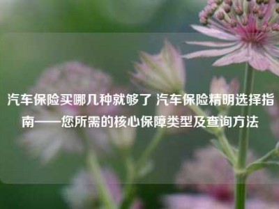 汽车保险买哪几种就够了 汽车保险精明选择指南——您所需的核心保障类型及查询方法