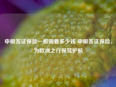 申根签证保险一般需要多少钱 申根签证保险，为欧洲之行保驾护航