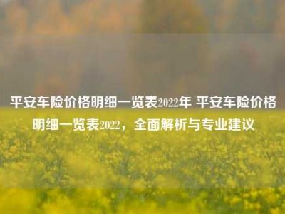 平安车险价格明细一览表2022年 平安车险价格明细一览表2022，全面解析与专业建议