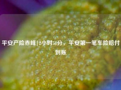 平安产险赤峰|2小时51分，平安第一笔车险赔付到账